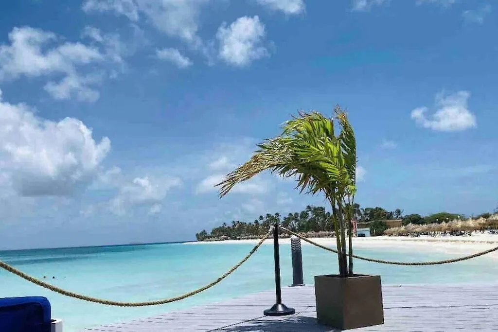 Lejlighed Eagle Beach Aruba Breeze Condominium Lime Palm Beach Aruba