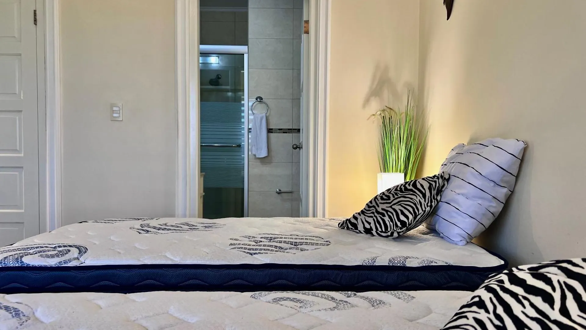Eagle Beach Aruba Breeze Condominium Lime Palm Beach Lejlighed